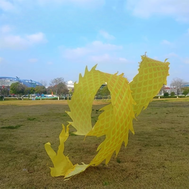 8Meter 3D Dragon Head Fitness  - đánh giá và giá Outdoor Sport Gym